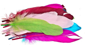 Close up of large coloured feathers from the Large Variety of Feathers Jumbo Pack - Pack of 420