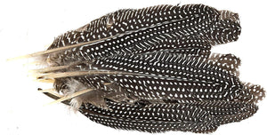 Close up of spotted, large feathers from the Large Variety of Feathers Jumbo Pack - Pack of 420