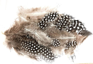 Close up of spotted black, white and grey feathers from the Large Variety of Feathers Jumbo Pack - Pack of 420