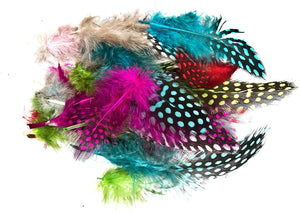 Close up of coloured feathers from the Large Variety of Feathers Jumbo Pack - Pack of 420