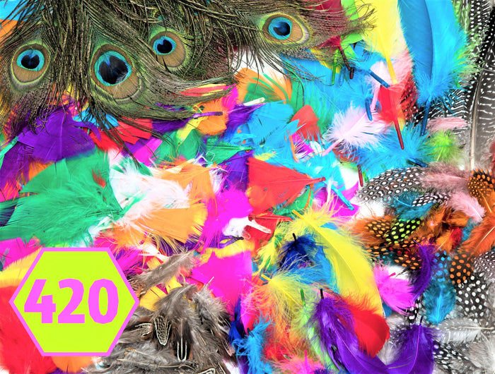 Large Variety of Feathers Jumbo Pack - 420 Pieces
